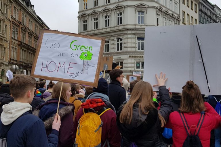Die Demonstrationen zu Fridays for Future in Hamburg können ein Anfang sein. Wir zeigen, wie sich Jugendliche weiter für den Klimaschutz engagieren können.
